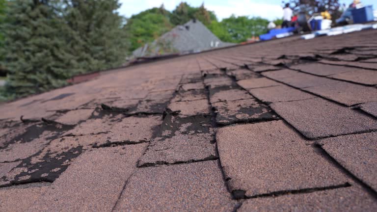 Best Hot Roofs  in The Dalles, OR